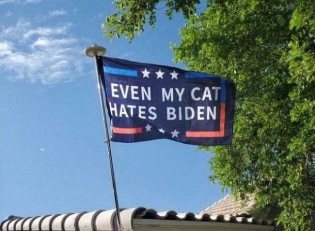 even-my-cat-hates-Biden.jpg