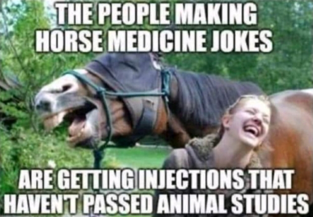 covid-horse-medicine.jpg